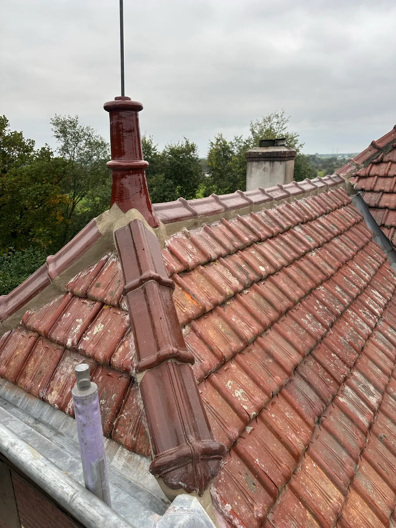 Renovatie